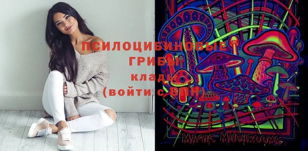 2c-b Алзамай